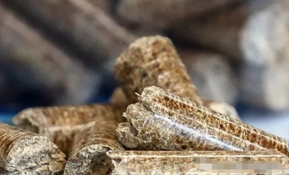 成為全球固體生物質(zhì)燃料商品