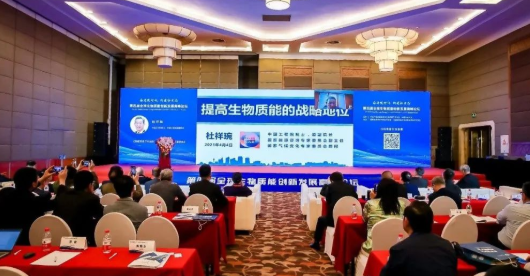 杜祥琬院士：提高生物質(zhì)能戰(zhàn)略地位勢在必行