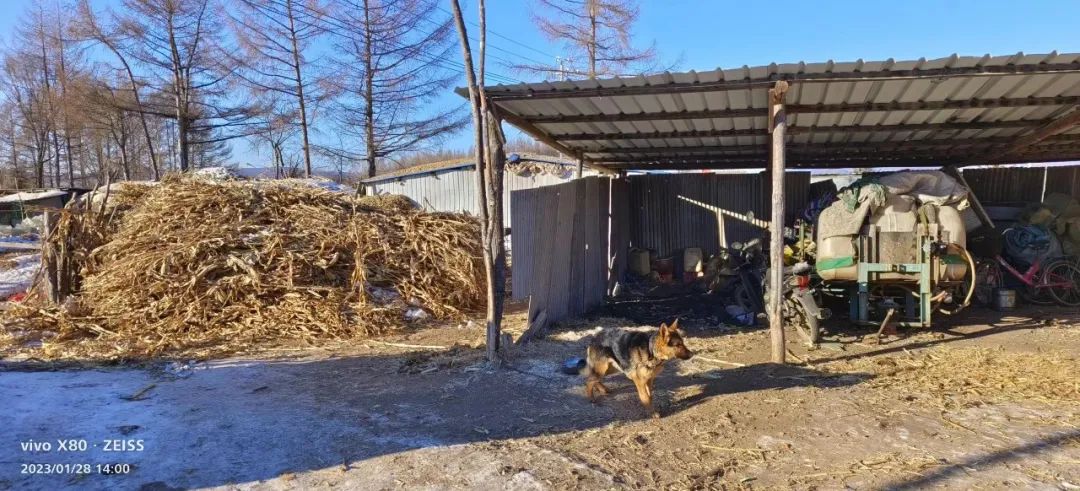 火炕火墻為主流，清潔采暖爐要解決黑龍江農村用戶的哪幾點需求？3